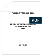 Plan de Trabajo Ciam La Punta 2022-2