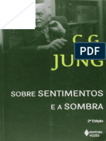 Resumo Sobre Sentimentos e A Sombra Sessoes de Perguntas em Zurique Carl Gustav Jung