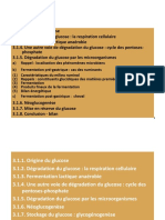 Cours Bioch Métab Version CP 2 Agro IAV Partie 2