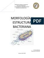 ESTRUCTURA BACTERIANA (Luis Sol - Rzano)