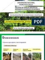 Sistemas Agroforestales - Ana M. Juarez CH