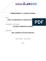 Cuidado y entrenamiento animal: foro de análisis de proyecto