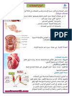 أنواع العضلات