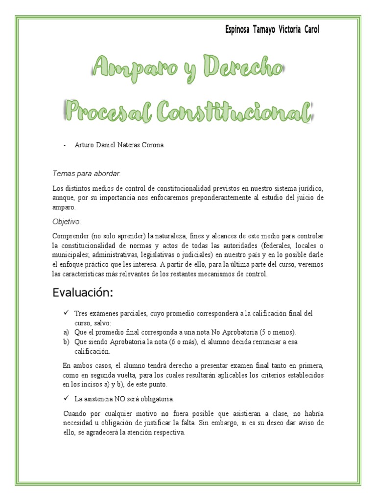 Curso de Juicio de Amparo y Control Constitucional | PDF | El proceso ...