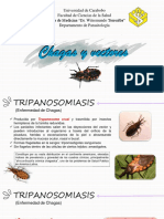 D1 Chagas y Sus Vectores