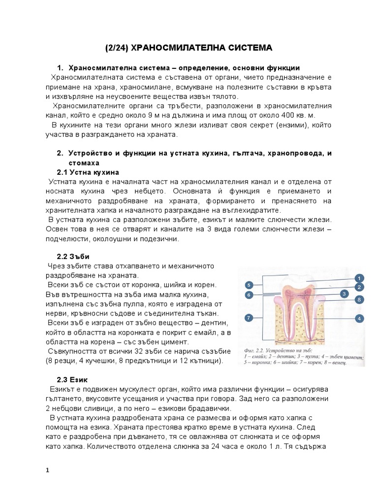 храносмилателна система | PDF