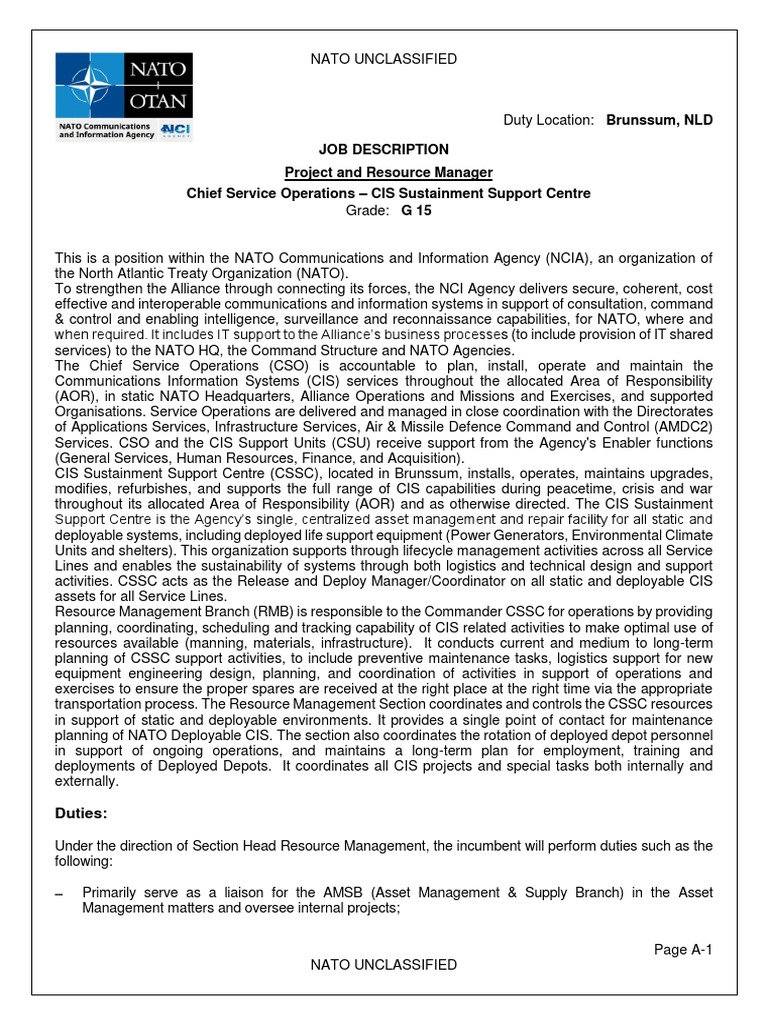 Job Description Project and Resource Manager Chief Service Operations