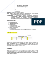 Praktiskais - Psihes - Fiziologija - Protokols Marija K 04.06