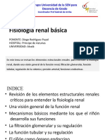 Nefrologia Al Dia Fisiologia Renal Basica