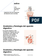 Aparato Digestivo Expo Examen