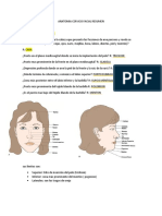 Anatomia Cervico Facial Resumen