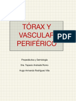 Guía sobre semiología torácica y vascular periférica