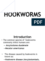 HOOKWORM