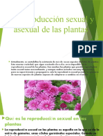 La Reproducción Sexual y Asexual de Las Plantas