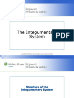 Integumentary System (L 31)
