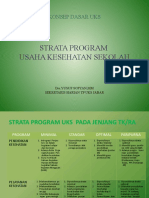 Strata Program Uks