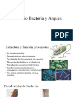 Tema12. Dominio Bacteria y Arquea