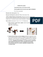 Planificación Semanal Del 09 Al 15 de Enero de 2023