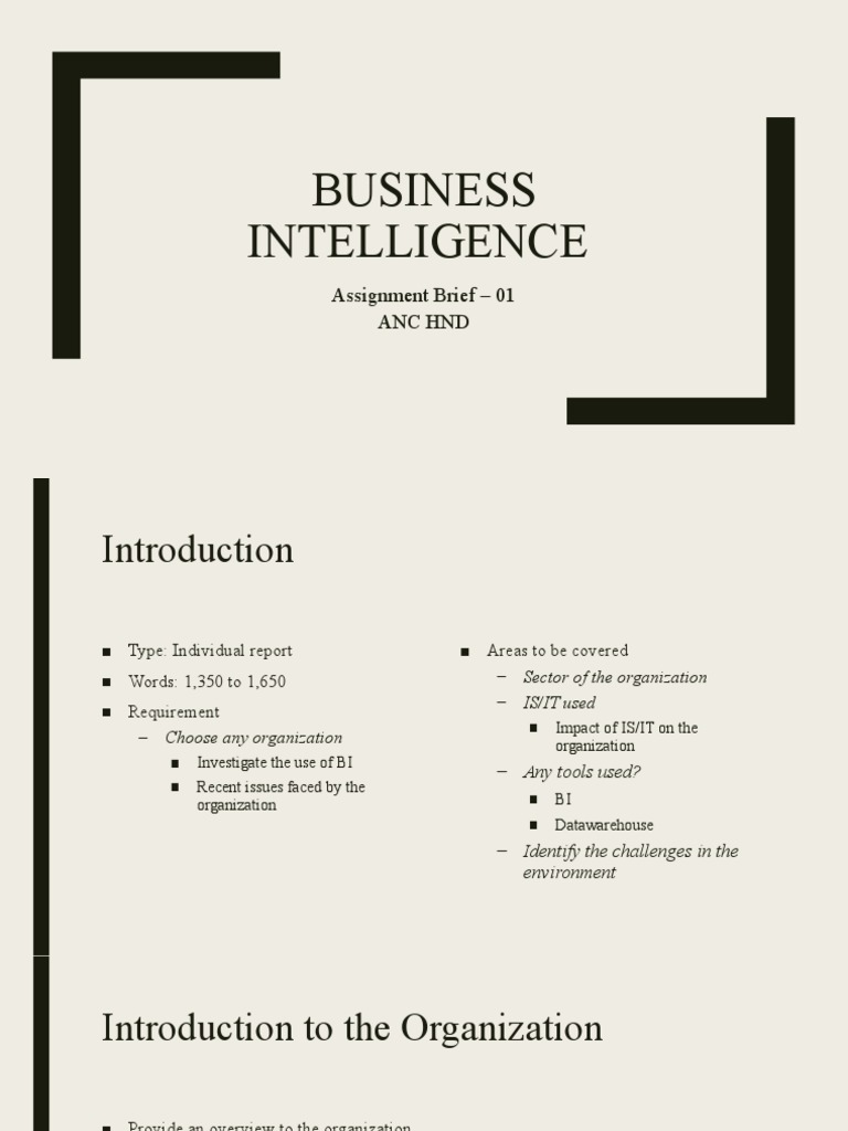 Business Intelligence - Assignment Brief 01 | PDF | Decision Making ...