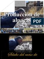 Producción Alpacas I