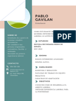 CV Con Foto Trabajo Formal Joven Verde