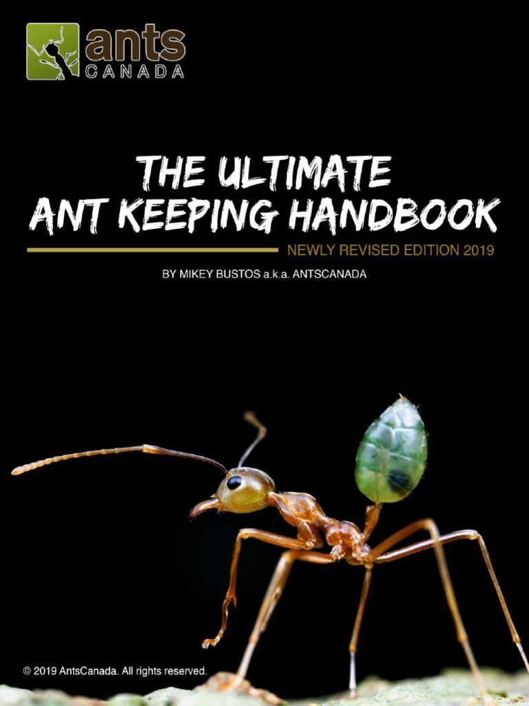 AntsCanada Ultimate Ant Keeping Handbook | PDF | Ant | Pupa