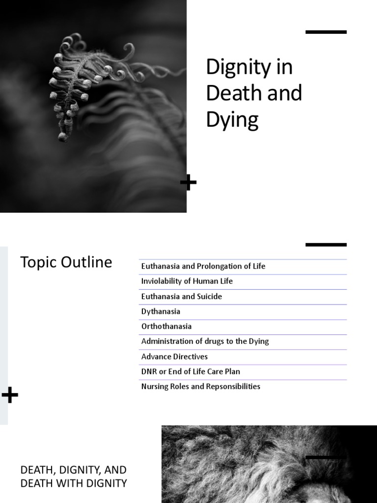 Dignity In Death And Dying Pdf Medical Ethics Palliative Care