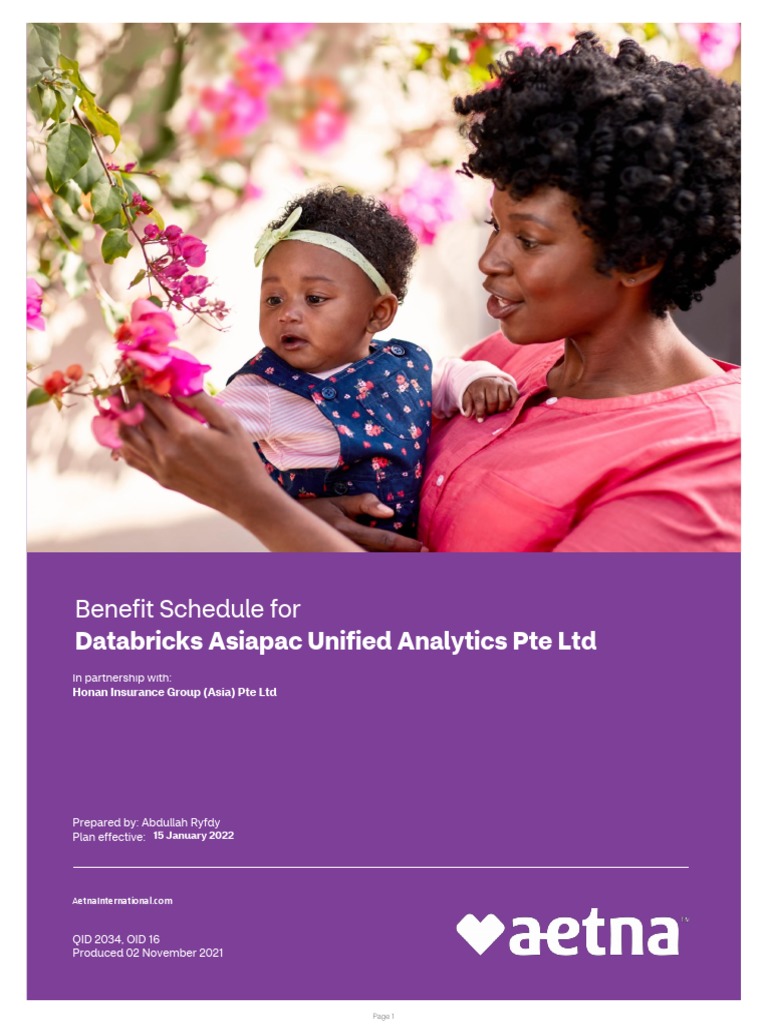 Aetna Summit 5000 PDF Physical Therapy Physical Examination