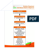 Struktur Organisasi Rekam Medis & Registrasi