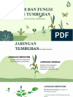 BAB 4 Struktur Dan Jaringan Pada Tumbuhan