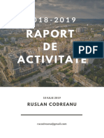 Raport de Activitate  primar