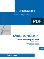 Mehu108 U4 T2 Cáncer Urológico 1