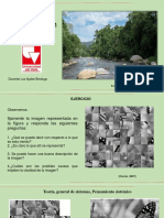 CL3Teoria General Sistemas, Complejidad Ambiental Holismo