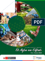 Boletín Mensual - El Agro en Cifras - Enero 2022