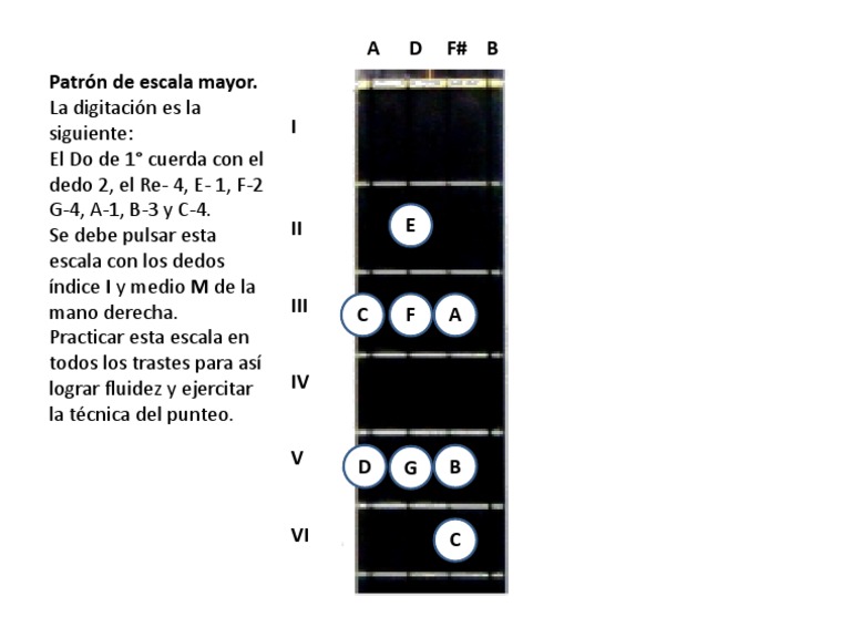 Escala Mayor de Do para Guitarra | PDF