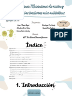 Resistencia bacteriana