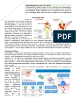 ONCO 13 Immunotherapy in Renal Cell Cancer