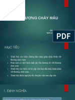 Vết Thương Chảy Máu