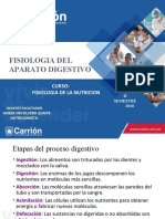 3ra Clase Fisiologia Del Aparato Digestivo