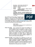 Designo Abogado y Ofrezco Nuevos Medios Probatorios