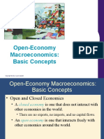 Chap 31 Open Economy 1