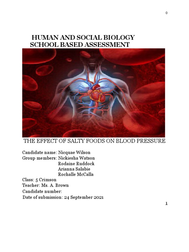 hsb-sba-pdf
