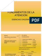 Fundament de La Atencion-Esencias Chilenas