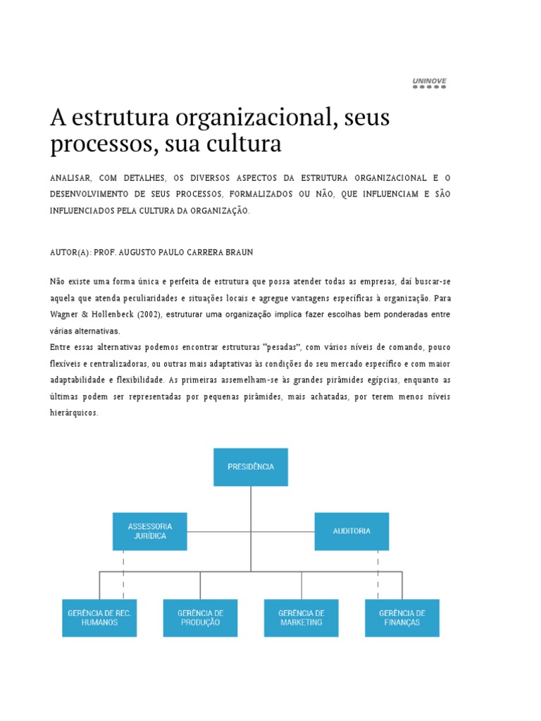 A Estrutura Organizacional, Seus Processos, Sua Cultura | PDF | Cultura ...