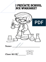 Science Worksheet For KG 2