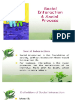 Social Interaction and Process