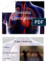 Sistema Circulatório