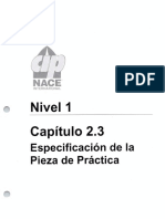 CIP Niv1 2.3 Practice Piece Especification