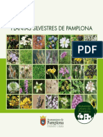 Plantas silvestres de Pamplona - Basartea
