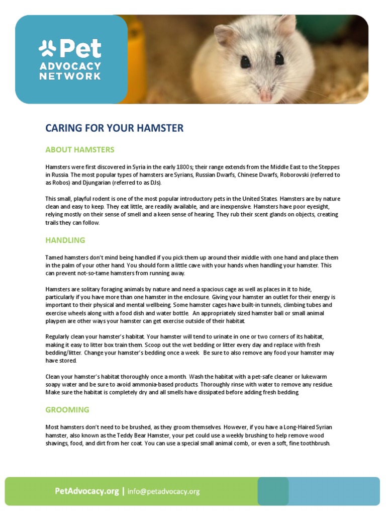 HamsterCareSheet PDF Foods